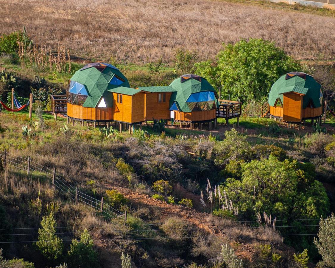 Los Nopales Glamping Sáchica 외부 사진