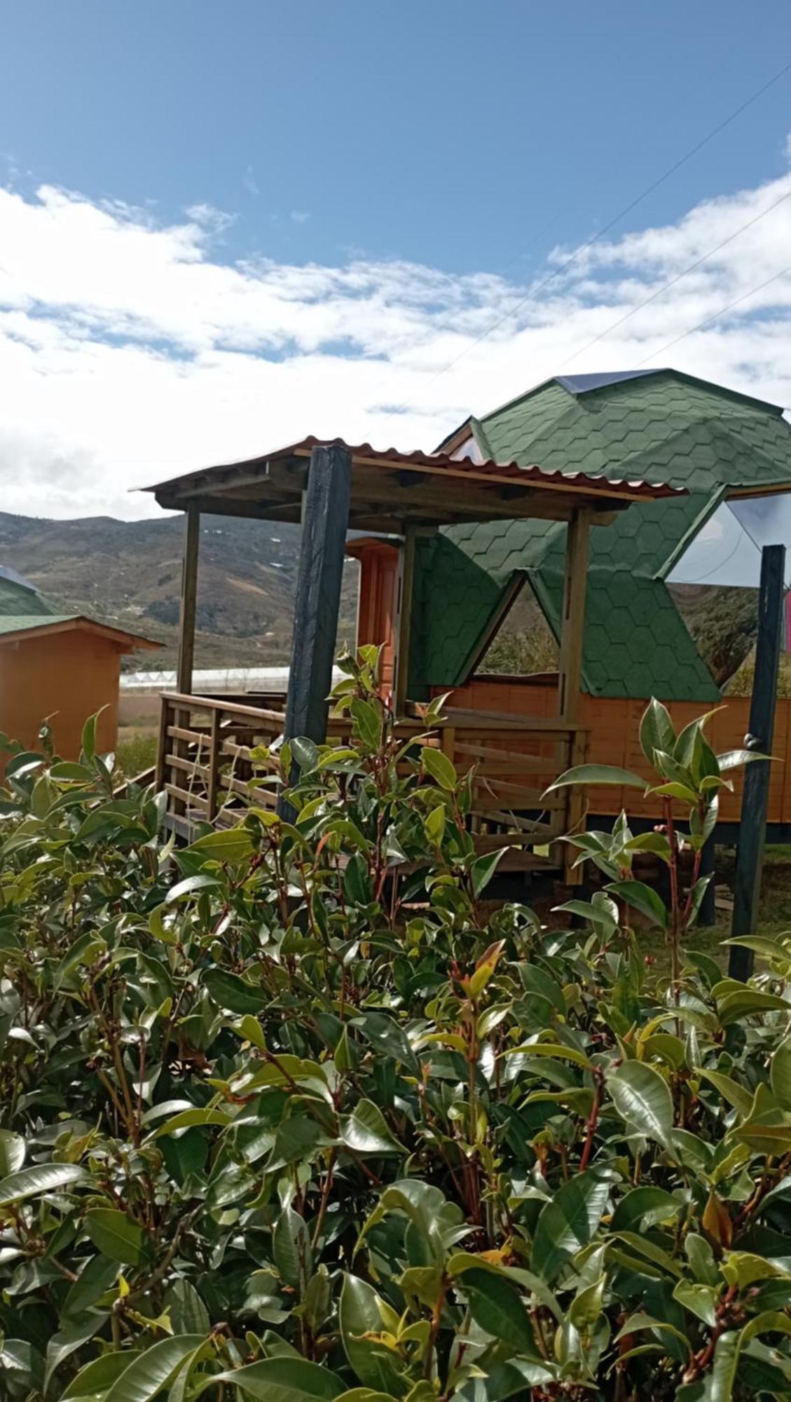 Los Nopales Glamping Sáchica 외부 사진